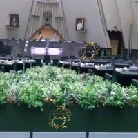 نخل نیکولای(اجرا گل مصنوعی برای فلاورباکس اداری)|گل مصنوعی|تهران, بازار|دیوار