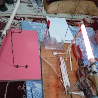 المنت برق نشه