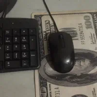 کیس و مانیتور