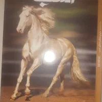 سواری آزاد از مبتدی تا پیشرفته|خدمات آموزشی|بجنورد, |دیوار