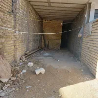 اسکلت گردخون