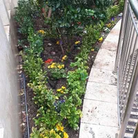سمپاشی سوسک وساس سمپاش با ضمانت|خدمات باغبانی و درختکاری|تهران, سعادت‌آباد|دیوار