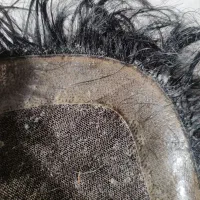 پروتز مو|آرایشگاه و سالن‌های زیبایی|بیرجند, |دیوار