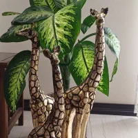 ۳تا زارفه کنار سالنی زیبا