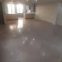 120متر دو خواب/پروانه/تخلیه/دو کله نور/بازسازی شده|اجارهٔ آپارتمان|تهران, سازمان برنامه جنوبی|دیوار