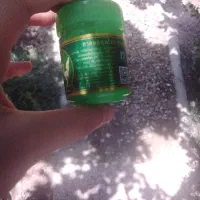 اوکالیپتوس اوجینال