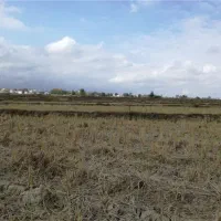 زمین واقع در حاشیه اتوبان