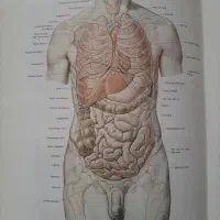 کتاب آناتومی رفرنس اصلی|کتاب و مجله آموزشی|تهران, ترمینال غرب|دیوار