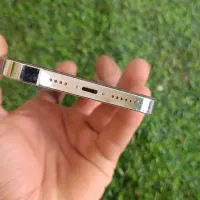 13پرومکس حافظه۲۵۶