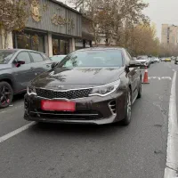 اپتیما Gtline مدل ۲۰۱۷ تک برگ سند کم کار استثنایی