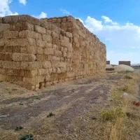 فروش خوراک دام .یونجه.کلش.کاه|لوازم جانبی حیوانات|اصفهان, ارغوانیه|دیوار