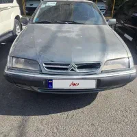 زانتیا بی رنگ استثنایی