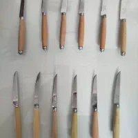 کارد میوه خوری|ظروف سرو و پذیرایی|تهران, بهداشت|دیوار