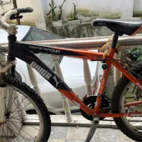 دوچرخه حرفه ای