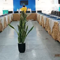 میکروفون کنفرانسی بیر داینامیک اصلی آلمانی|صوتی و تصویری|مشهد, گاز|دیوار