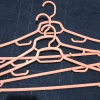 چوب لباسی|بندرخت و رخت‌آویز|مشهد, توس (بلوار توس)|دیوار