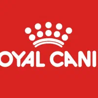 پخش غذای حیوانات خانگی