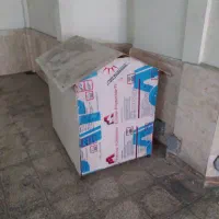 لانه سگ. مرغ خروس. کفتر