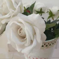 استخدام نیرو نظافت چی جهت کار در رستوران