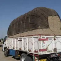 فروش کاه نیشکر