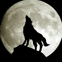 سیم کارت 990رند