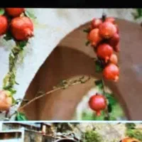 تور گروهی جشن انار۸روزه ۳ شهر قطا ر۵ ستاره لحظه ۹۰