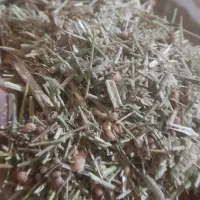 جایگزین یونجه (خارشتر)|لوازم جانبی حیوانات|یزد, |دیوار