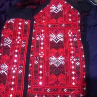 زیاستبن چرخ دست