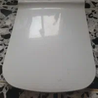 در توالت فرنگی