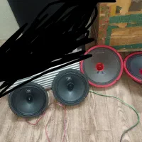 باند