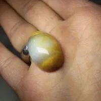 سنگ سلیمانی قدیمی اصلی|جواهرات|اهواز, شهرک نفت|دیوار