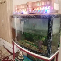 آکواریوم به همراه همه لوازم فقط و فقط۴میلیون