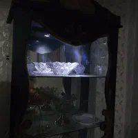 شلف دکوراسیون با چراغ داخلی و درخشان در شب|کتابخانه، شلف، قفسههای دیواری|آستانه اشرفیه, |دیوار