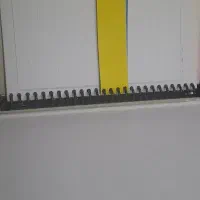 کلاسور