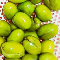 زیتون سوپر ویژه|خوردنی و آشامیدنی|رشت, ترمینال|دیوار