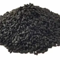 سیاهدانه سوری