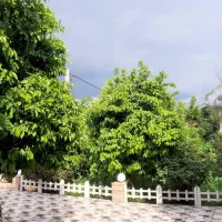 باغ ویلا فول امکانات  ۷۰۰ متر|فروش دفتر صنعتی، کشاورزی، تجاری|اهواز, منبع اب|دیوار