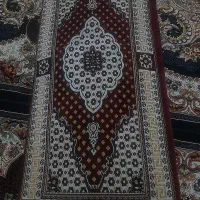 دو دونه پشتی