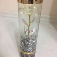 گل نو دانه ای ۱۵۰ هزار