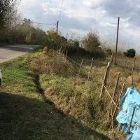 زمین-طاهرگوراب-ماسال