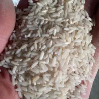 برنج دانه بلند پاکستانی