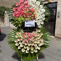 گلفروشی ایران گل گل تاج دار تاجگل کد 150