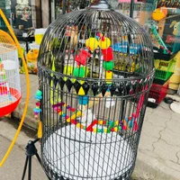قفس|لوازم جانبی حیوانات|رشت, شهریاران|دیوار