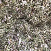 کاه لوبیا چیتی