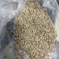 عدس چشمه رعنا به شرط پخت ۱۸۵تومن فروش