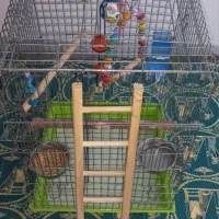 دو عدد قفس پرنده بزرگ و کوچک