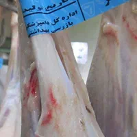 عرضه گوشت چرخ کرده تازه تنظیم بازار با پیک|خوردنی و آشامیدنی|قم, باسکول|دیوار