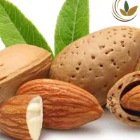خرید گردو و بادام