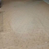 موکت