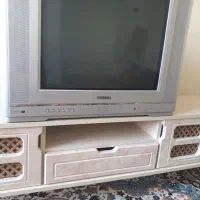 تلوزیون